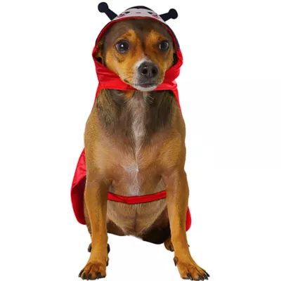 Product Rubies Pet Shop, Ladybug Costume