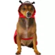 Product Rubies Pet Shop, Ladybug Costume
