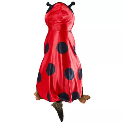 Product Rubies Pet Shop, Ladybug Costume