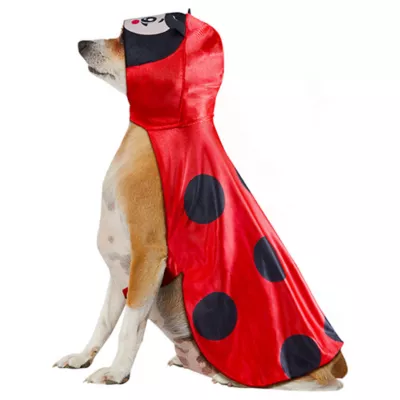 Product Rubies Pet Shop, Ladybug Costume