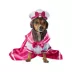 Rubies Pet Shop, Sailor Dress with Hat image thumbnail 2
