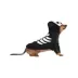 Rubies Pet Shop, Skeleton Costume image thumbnail 4