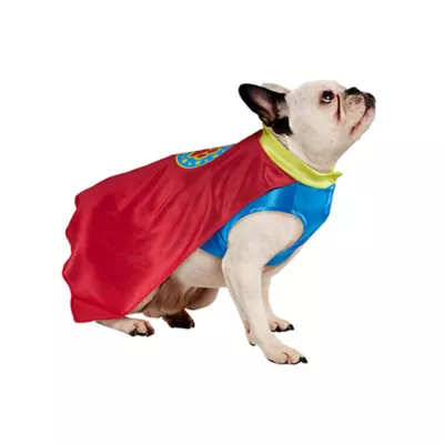 Product Rubies Pet Shop, Superhero Costume