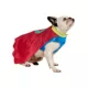 Product Rubies Pet Shop, Superhero Costume