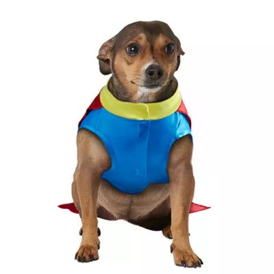 Product Rubies Pet Shop, Superhero Costume