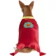 Product Rubies Pet Shop, Superhero Costume