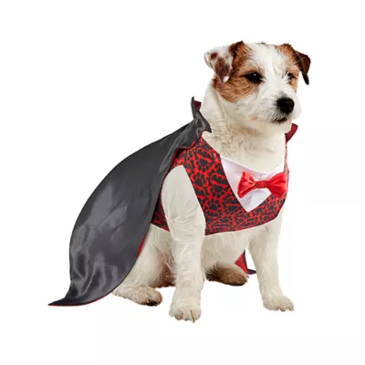Rubies Pet Shop, Vampire Costume - Image 1