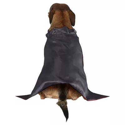 Rubies Pet Shop, Vampire Costume - Image 3