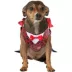 Rubies Pet Shop, Vampire Costume image thumbnail 2