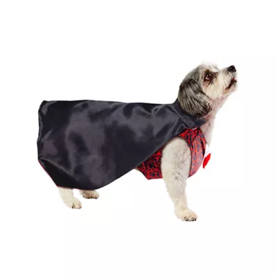 Rubies Pet Shop, Vampire Costume - Image 4