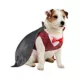 Product Rubies Pet Shop, Vampire Costume