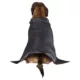 Product Rubies Pet Shop, Vampire Costume