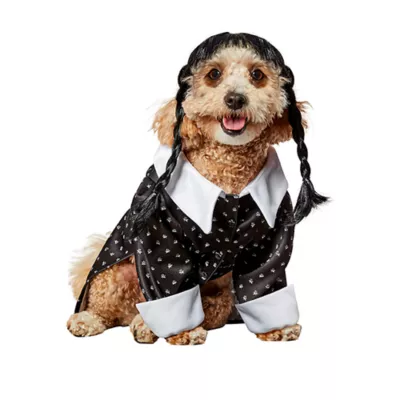 Rubies Pet Shop, Wednesday: Wednesday Addams Costume - Image 1