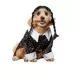Rubies Pet Shop, Wednesday: Wednesday Addams Costume image thumbnail 1
