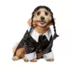 Product Rubies Pet Shop, Wednesday: Wednesday Addams Costume