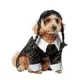 Product Rubies Pet Shop, Wednesday: Wednesday Addams Costume