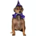 Rubies Pet Shop, Wizard Costume image thumbnail 2