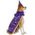 Rubies Pet Shop, Wizard Costume image thumbnail 4