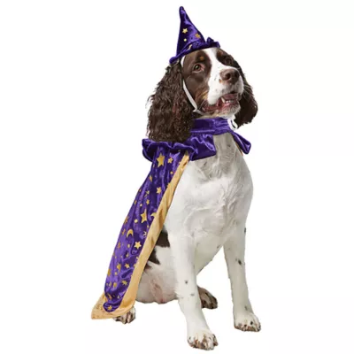 Product Rubies Pet Shop, Wizard Costume