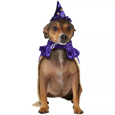 Product Rubies Pet Shop, Wizard Costume