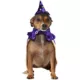 Product Rubies Pet Shop, Wizard Costume