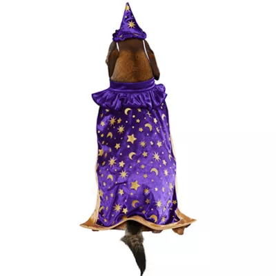 Product Rubies Pet Shop, Wizard Costume