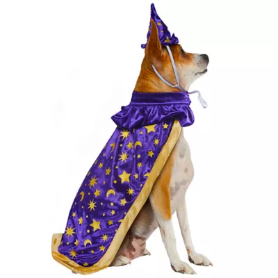 Product Rubies Pet Shop, Wizard Costume