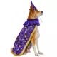 Product Rubies Pet Shop, Wizard Costume