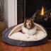 Snoozer Orthopedic Microsuede Round Cozy Cave Dog Bed image thumbnail 2