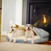 Snoozer Orthopedic Microsuede Round Cozy Cave Dog Bed image thumbnail 2