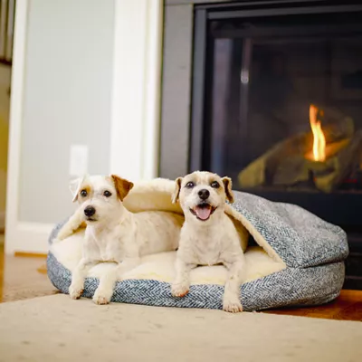 Snoozer Orthopedic Microsuede Round Cozy Cave Dog Bed - Image 2