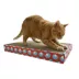 Cat in the Hat Scratch image thumbnail 4
