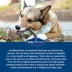 Barkworthies Odor Free Long Lasting Bully Stick Dog Chew 12" - 1 Count image thumbnail 3