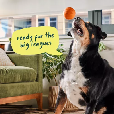 Product WOOF Flyball Treat Dispensing Dog Toy