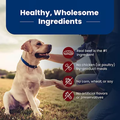 Blue Buffalo Life Protection Formula Senior 7+ Dry Dog Food - Beef & Brown Rice - Image 6