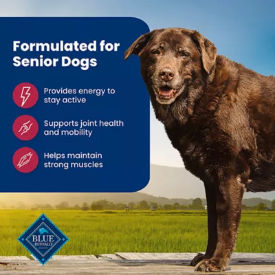 Blue Buffalo Life Protection Formula Senior 7+ Dry Dog Food - Salmon & Brown Rice - Image 4
