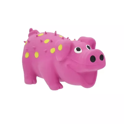 Product Multipet® Globlet Pig Dog Toy - Assorted