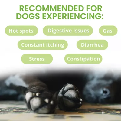 Under the Weather Ready Balance Probiotic Gel for Dogs, 103.5 g - Image 3