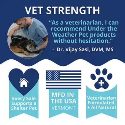 Under the Weather Ready Balance Probiotic Gel for Dogs, 103.5 g - Image 5