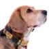 Pets First Nashville Predators Satin Collar image thumbnail 3