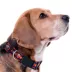 Pets First New York Islanders Satin Collar image thumbnail 3