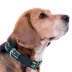 Pets First New York Jets Satin Collar image thumbnail 3