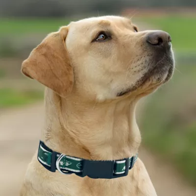 Pets First New York Jets Satin Collar - Image 4