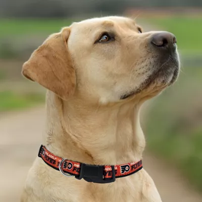 Pets First Philadelphia Eagles Satin Collar - Image 4
