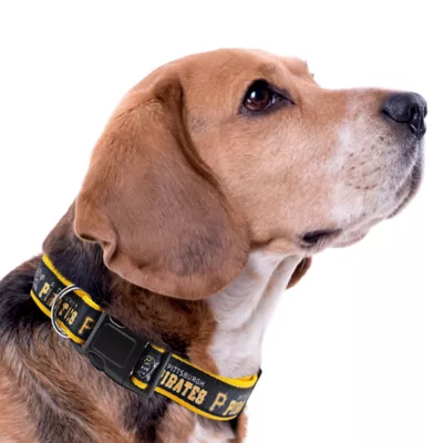 Pets First MLB Pittsburgh Pirates Satin Dog Collar - Image 3