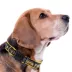 Pets First MLB Pittsburgh Pirates Satin Dog Collar image thumbnail 3