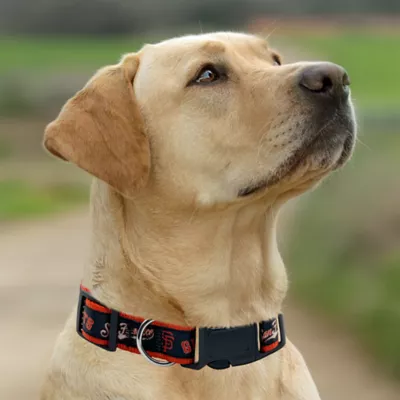 Pets First San Francisco Giants Satin Collar - Image 4