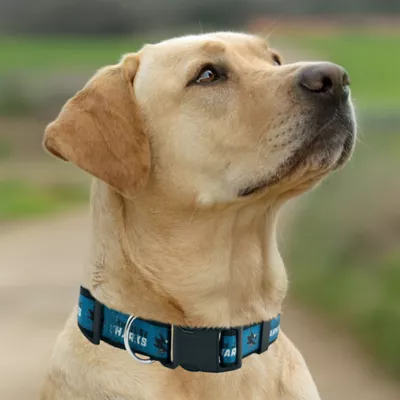 Pets First San Jose Sharks Satin Collar - Image 3