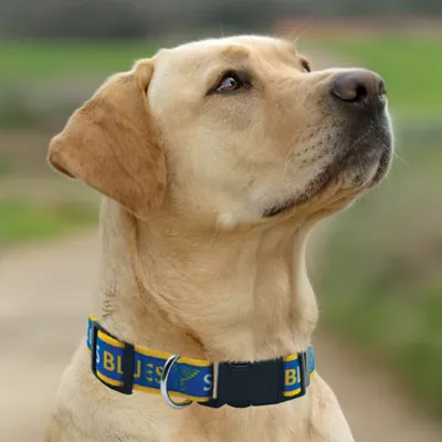 Pets First NHL St.Louis Blues Satin Dog Collar - Image 4
