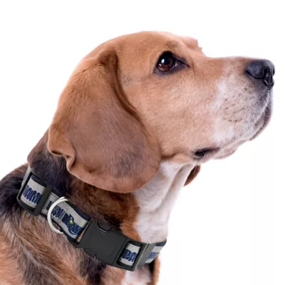 Pets First MLB Tampa Bay Rays Satin Dog Collar - Image 3